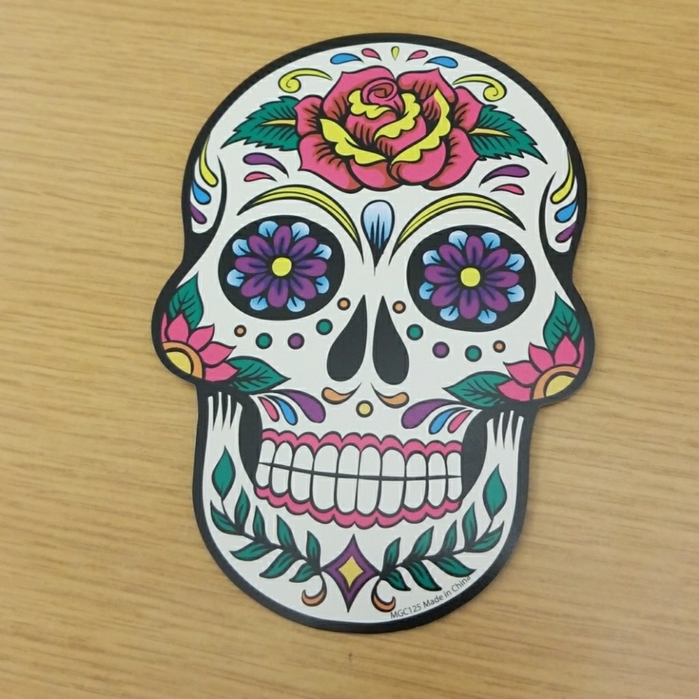 Skull magnet